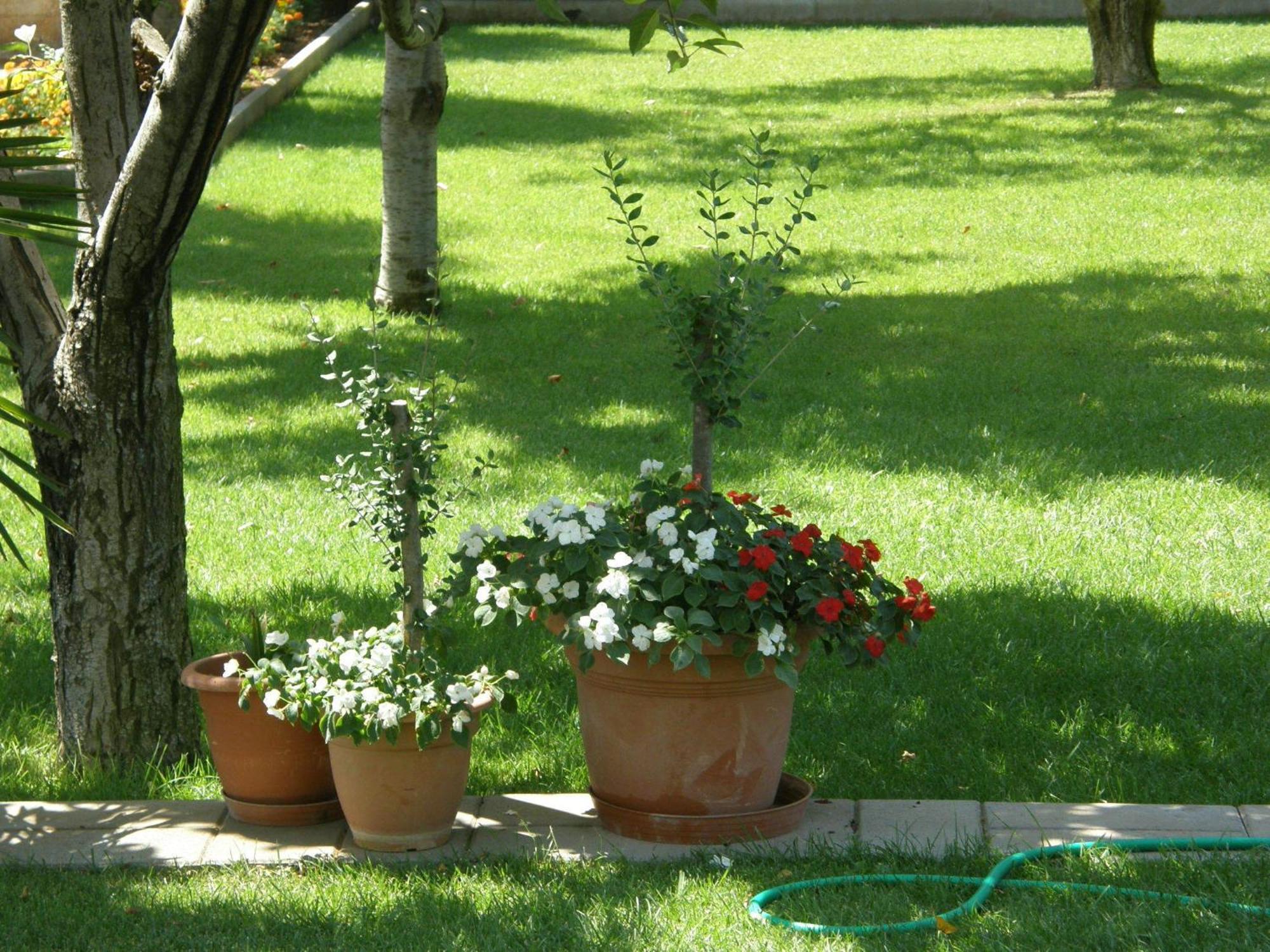Villa Slavica Vodice Esterno foto