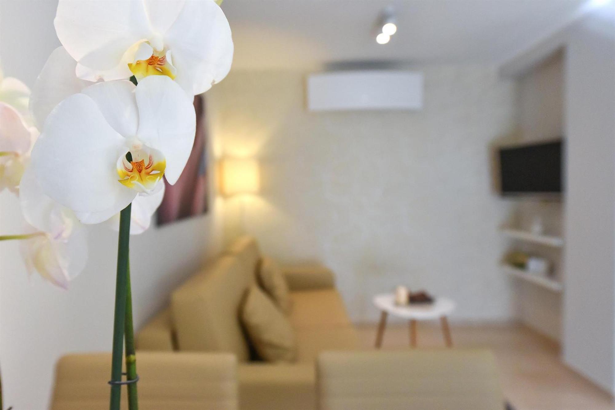 Villa Slavica Vodice Camera foto