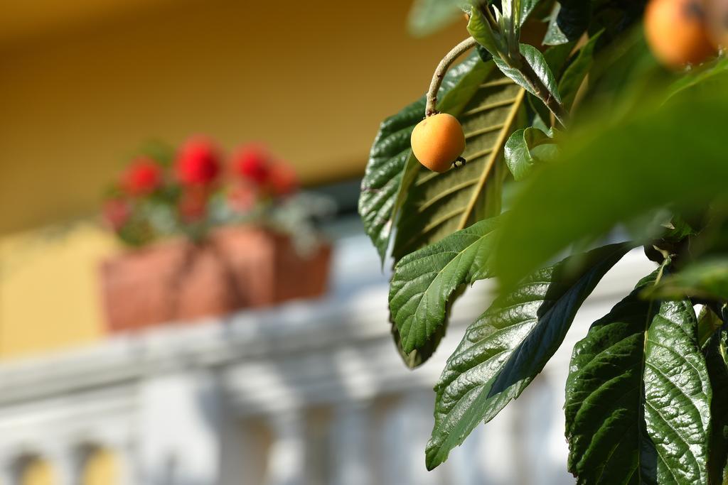 Villa Slavica Vodice Esterno foto